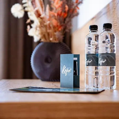 Grmovskov Dom Kope 게스트하우스 Mislinja